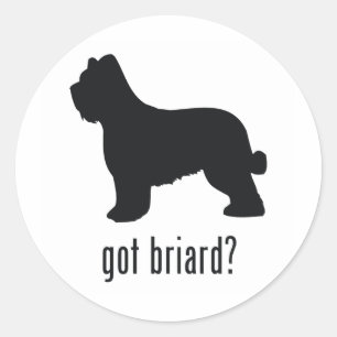 Pegatina Redonda Briard