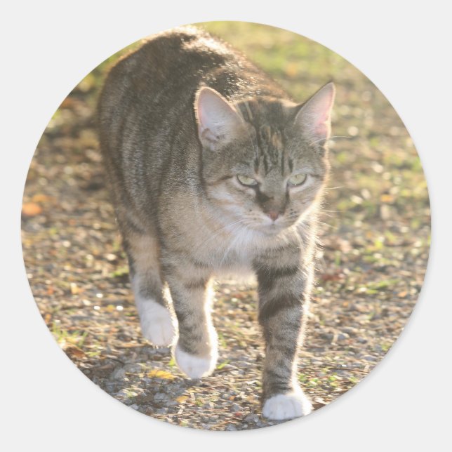 Pegatina Redonda Brin (Anverso)