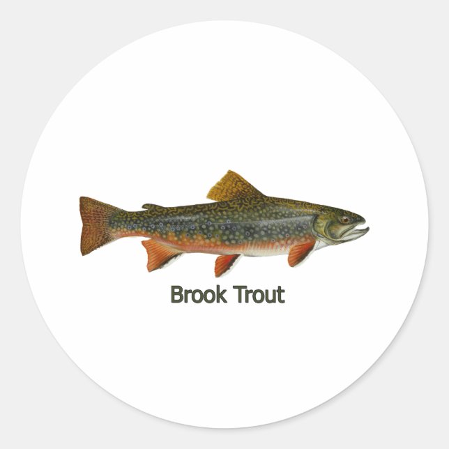 Pegatina Redonda Brook Trout (titulado) (Anverso)