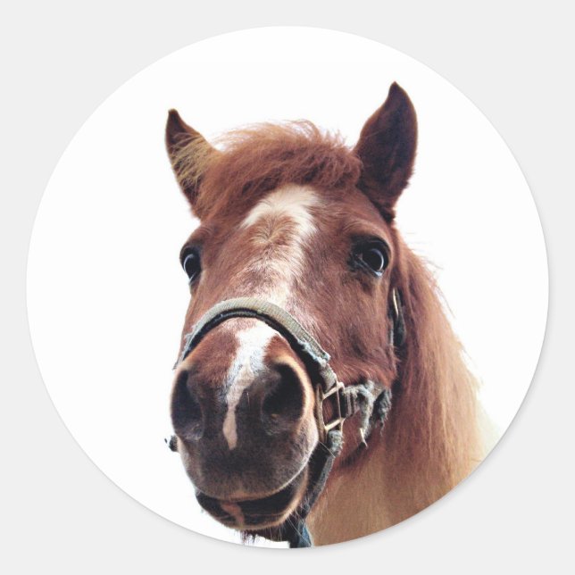 Pegatina Redonda Brown Pony (Anverso)