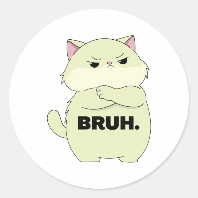 Pegatina Redonda Bruh Kitty Sticker (Anverso)