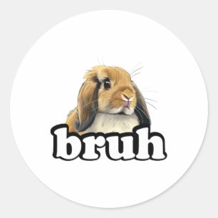 Pegatina Redonda Bruh Mini Holland Lop Conejo Conejo Lover
