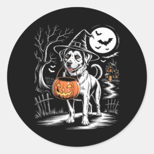 Pegatina Redonda Bruja Vintage Perro Con Calabaza Perro Espeluznant