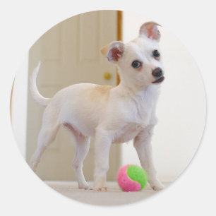 Pegatina Redonda Bruno