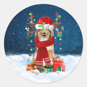 Pegatina Redonda Bruto perro collie en nieve con regalos de Navidad
