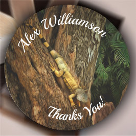 Pegatina Redonda Bucerias Iguana Gracias 1069