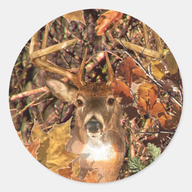 Pegatina Redonda Buck in Camo White Tail Deer (Anverso)