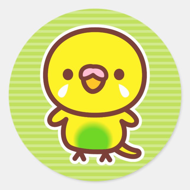 Pegatina Redonda Budgerigar / Recessive pied budgie (Anverso)