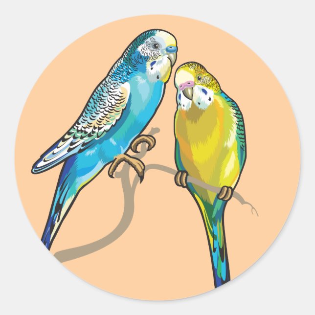 Pegatina Redonda budgerigars (Anverso)