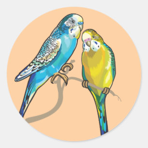 Pegatina Redonda budgerigars