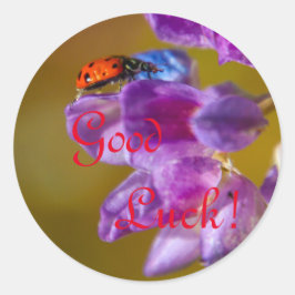 Pegatina Redonda ¡Buena suerte!