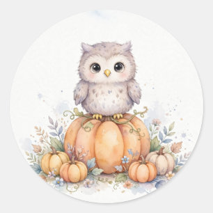 Pegatina Redonda Búho Adorable en Parche de Calabazas Halloween
