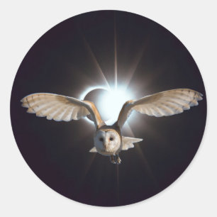 Pegatina Redonda Búho en Outerspace