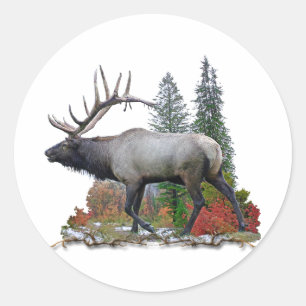 Pegatina Redonda Bull Elk