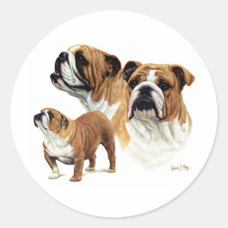 Pegatina Redonda Bulldog