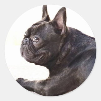 Pegatina Redonda Bulldog francés