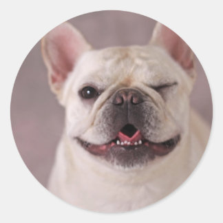 Pegatina Redonda Bulldog francés de perro con guiños divertidos