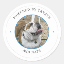 Bulldog impulsado por golosinas y siestas