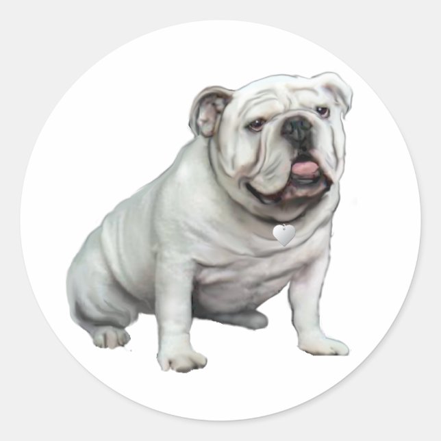 Pegatina Redonda Bulldog inglés - blanco 1 (Anverso)