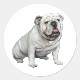 Pegatina Redonda Bulldog inglés - blanco 1