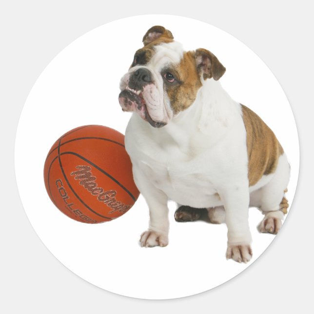 Pegatina Redonda Bulldog inglés con baloncesto (Anverso)