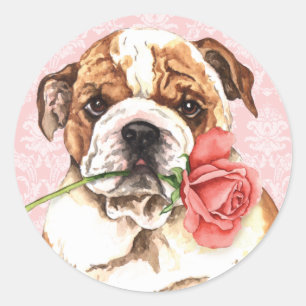 Pegatina Redonda Bulldog Rosa de Valentine