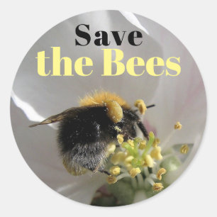Pegatina Redonda Bumble Bee Salvar a las abejas