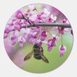 Pegatina Redonda Bumblebee en flores Redbud