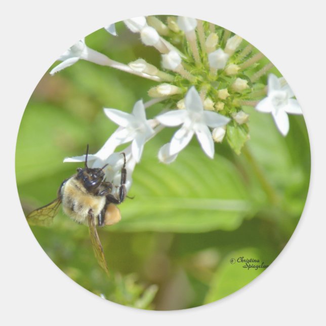 Pegatina Redonda Bumblebee y flores (Anverso)