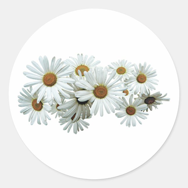 Pegatina Redonda Bunch of White Daisies (Anverso)