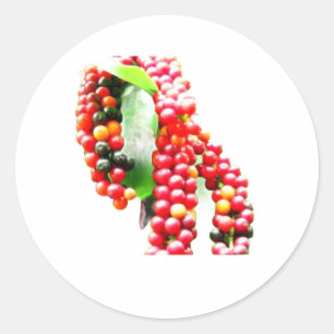 Pegatina Redonda Buni Berry - Fruta rara de bayas silvestres indone
