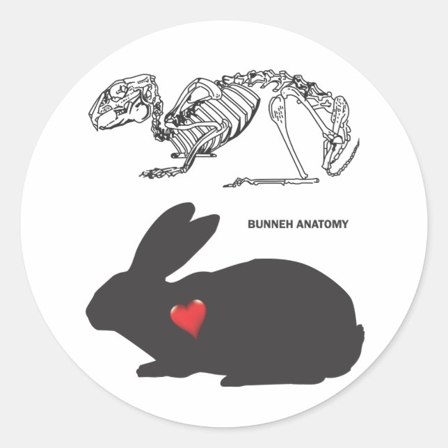 Pegatina Redonda Bunny Anatomy (Anverso)
