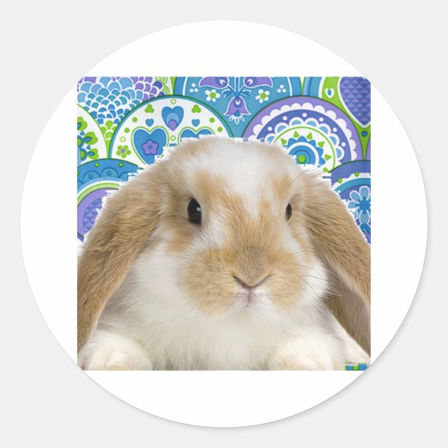 Pegatina Redonda Bunny gracioso (Anverso)