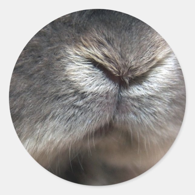 Pegatina Redonda Bunny Nose (Anverso)