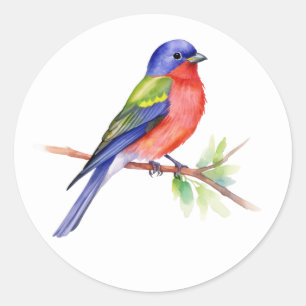 Pegatina Redonda Bunting