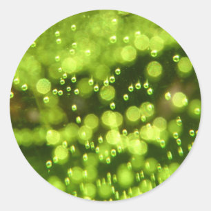 Pegatina Redonda Burbujas verdes
