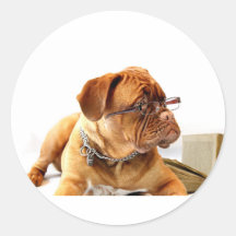 Burdeos Mastiff, regalo francés Mastiff Bordeauxdo