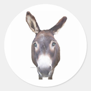Pegatina Redonda Burro en tu cara