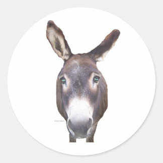 Pegatina Redonda Burro en tu cara