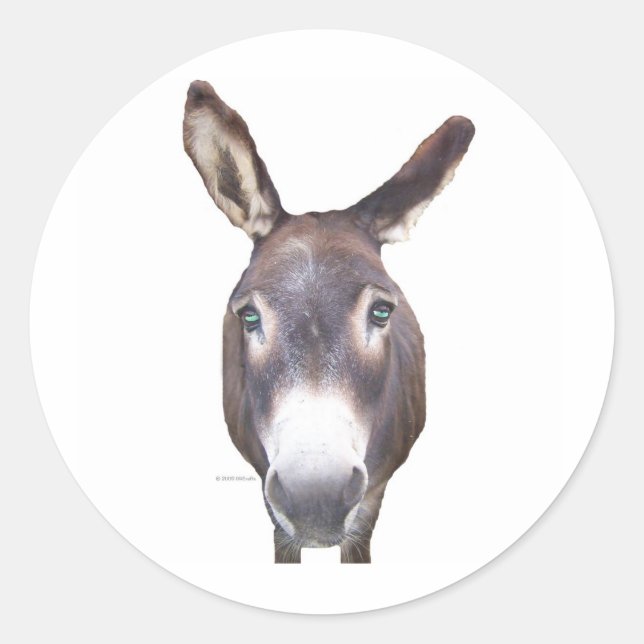 Pegatina Redonda Burro en tu cara (Anverso)
