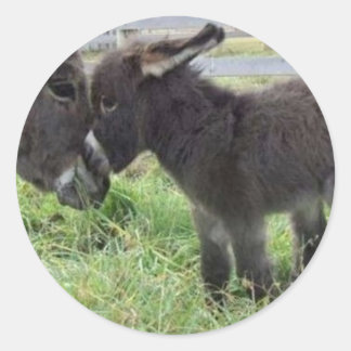 Pegatina Redonda burro más lindo