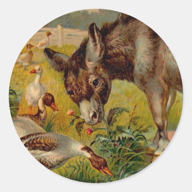 Pegatina Redonda Burro Vintage con Geese (Anverso)