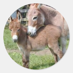 Pegatina Redonda Burro y bebé