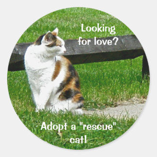 Pegatina Redonda ¿Buscando amor? ¡Adopta un gato de "rescate"! Pega