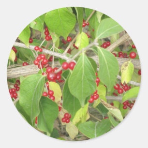 Pegatina Redonda Bush con las bayas rojas