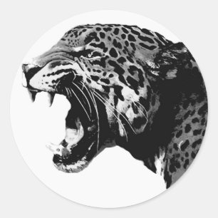 Pegatina Redonda BW Jaguar