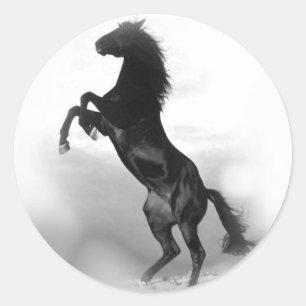 Pegatina Redonda Caballo