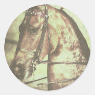 Pegatina Redonda Caballo alzado