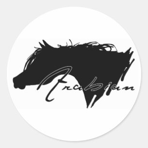 Pegatina Redonda Caballo árabe