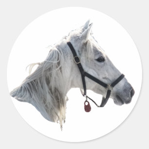 Pegatina Redonda Caballo blanco